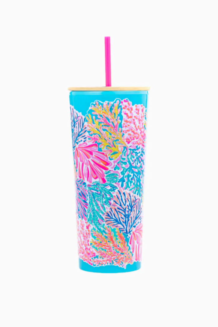 Tumblers With Straw-24oz