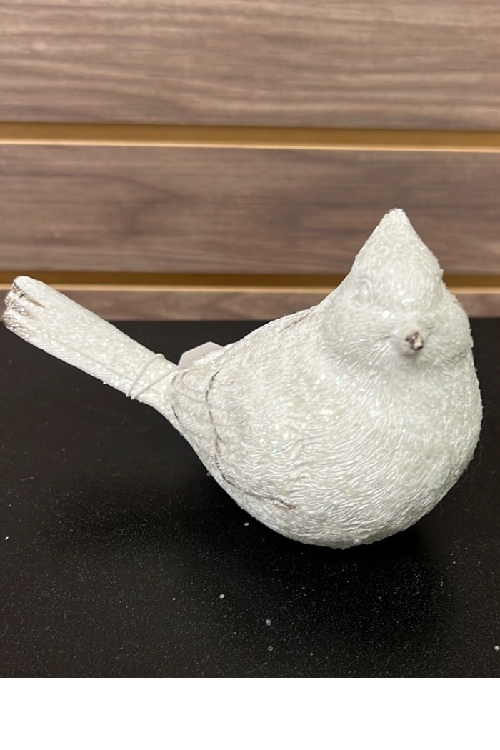 White Cardinal
