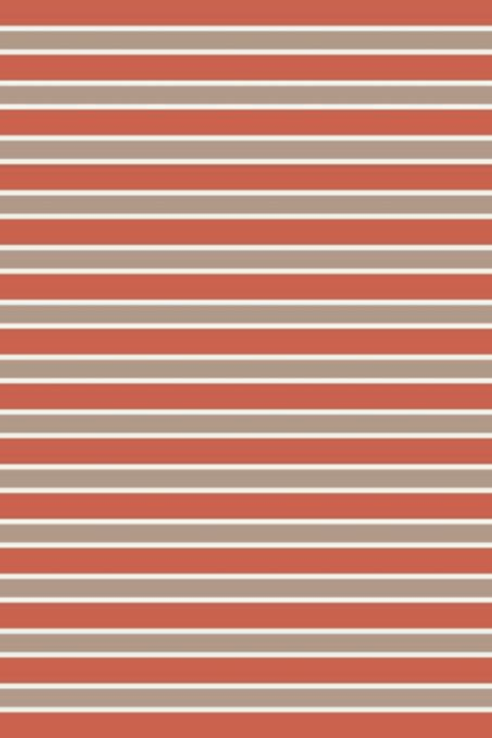 3/4 Slv YD Stripe Top - Rust Only