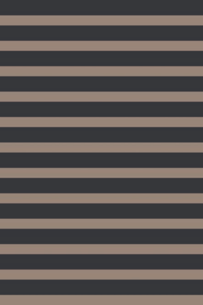 3/4 Slv Stripe Top
