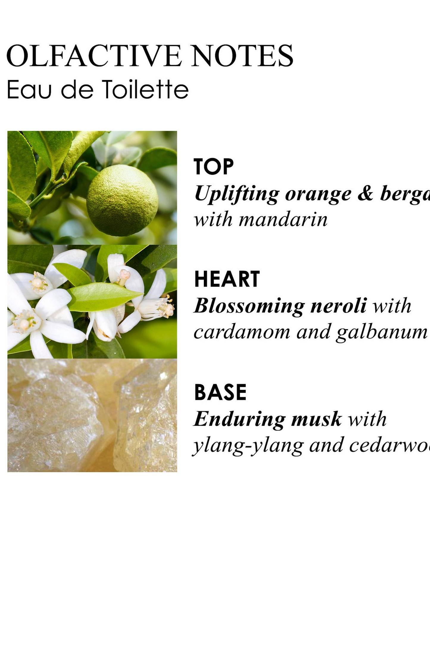 Orange & Bergamot Eau de Toilette