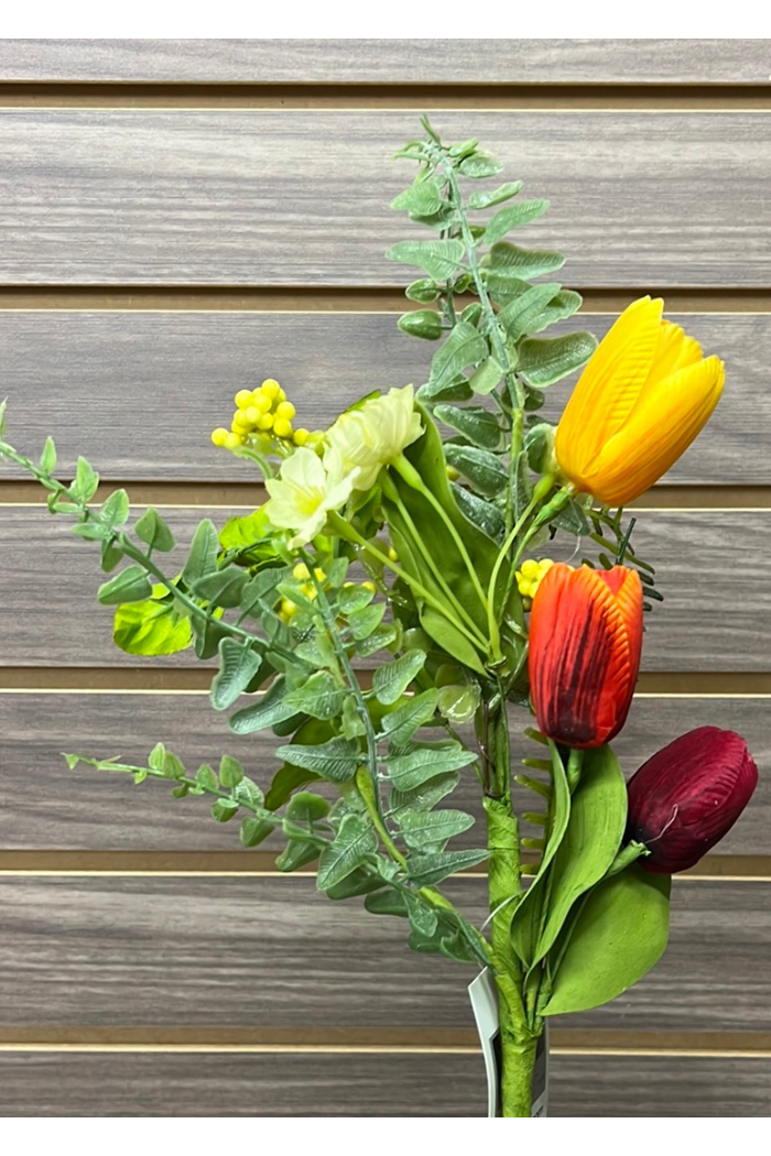 Spring Tulip