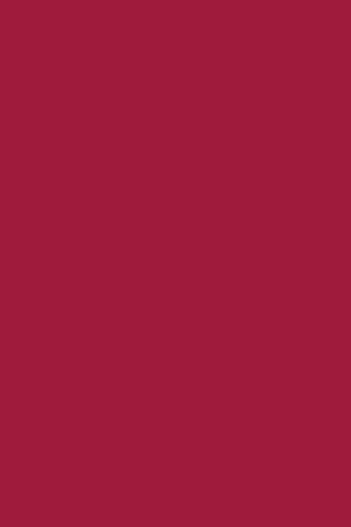 3/4 Slv Kelsey Jacq Top - red only