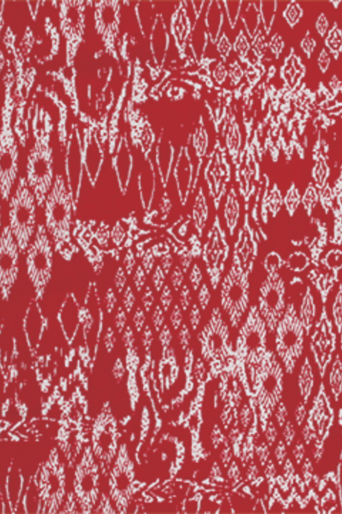 3/4 Slv Madeline Print Dress