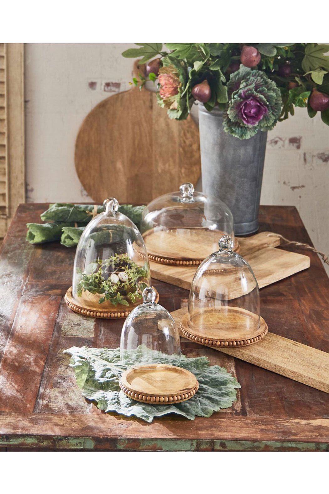 Tray w/ Cloche