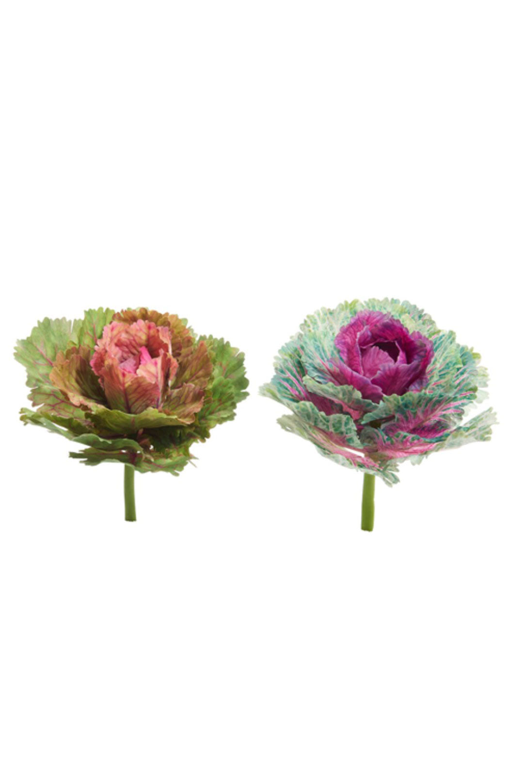 Cabbage Pick