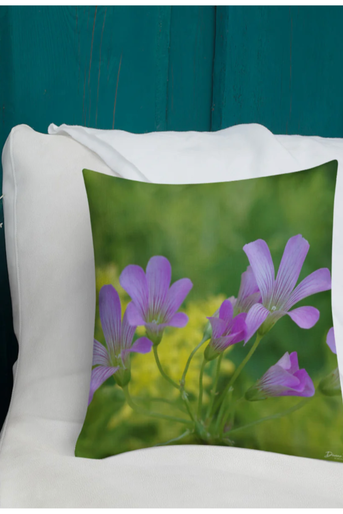 12 X 12 DIVINE DIRT PILLOWS-SQUARE