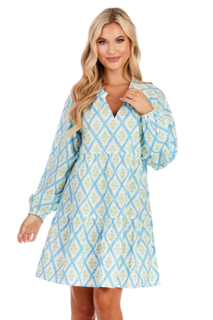 Vicky Tunic Dress