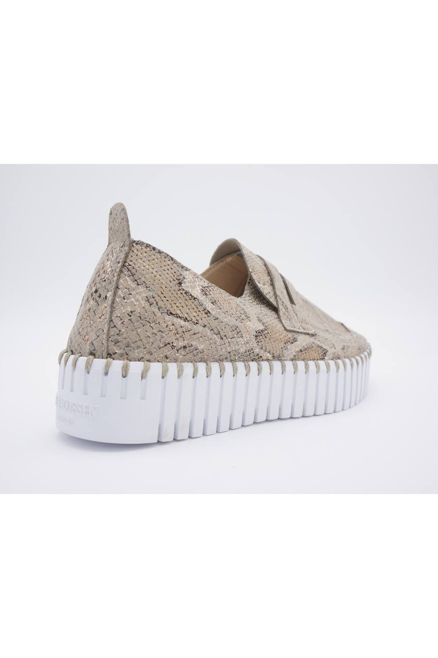 TULIP SNAKE NEW