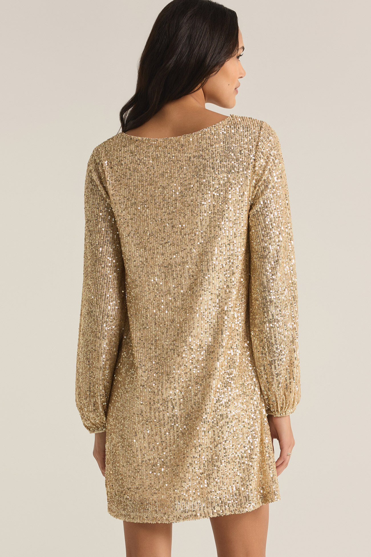 Andromeda Sequin Dress