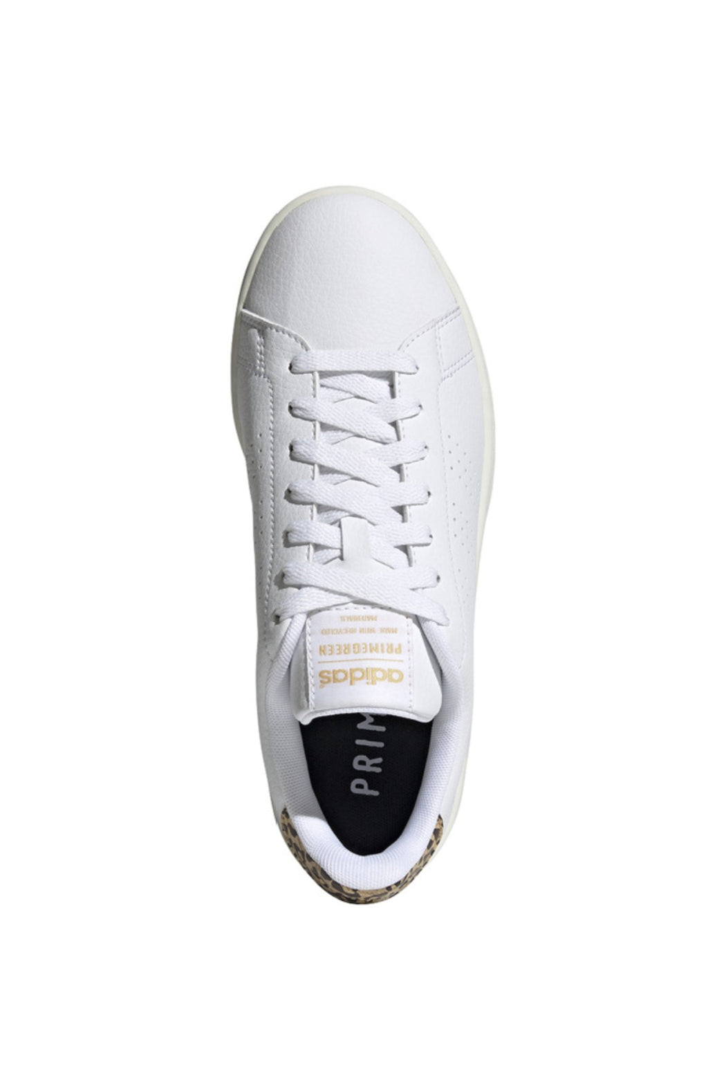 Adidas Women's Leopard Advantage
