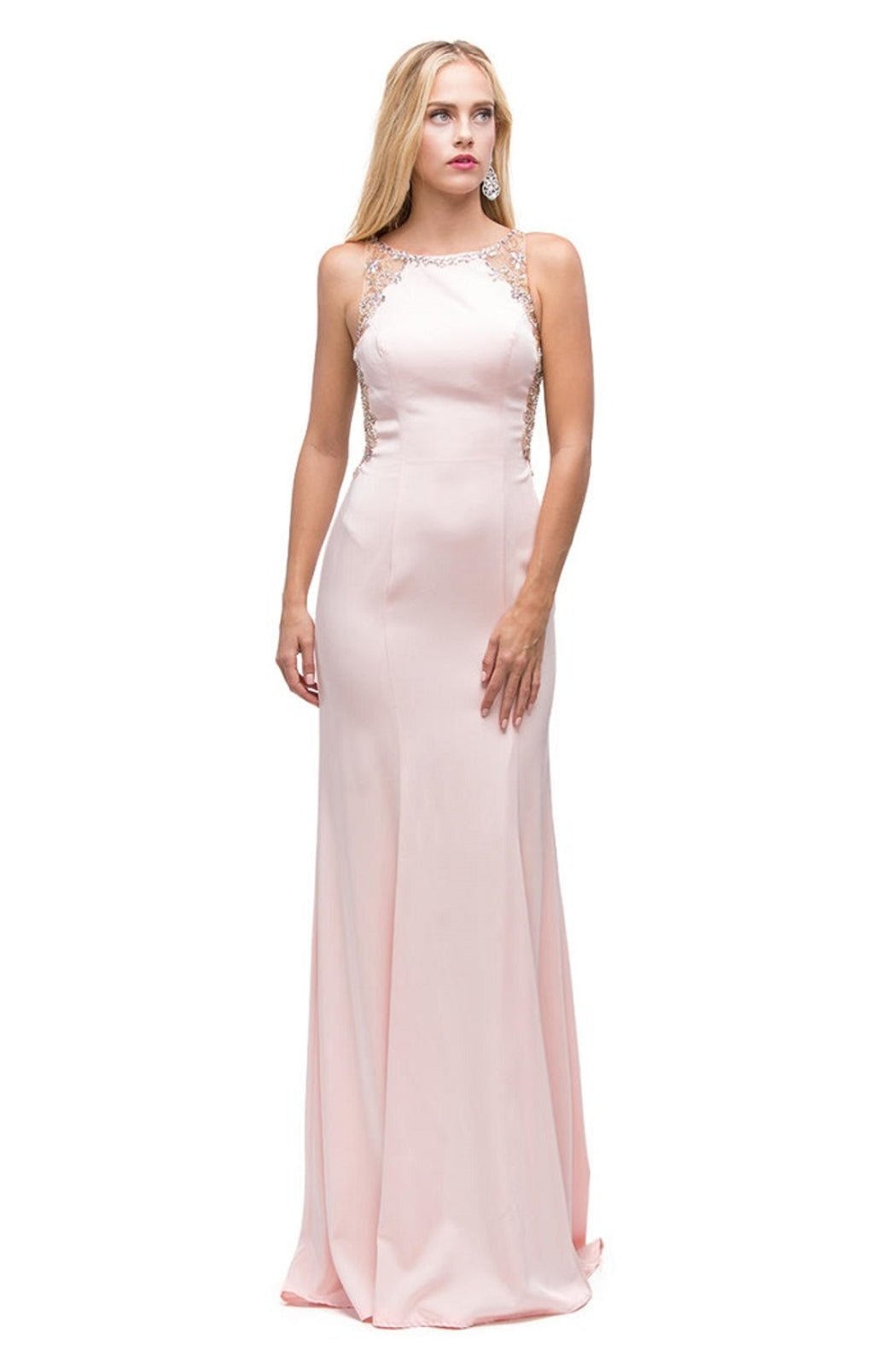 Blush Fit & Flare Floral Embellished Long Formal Dress