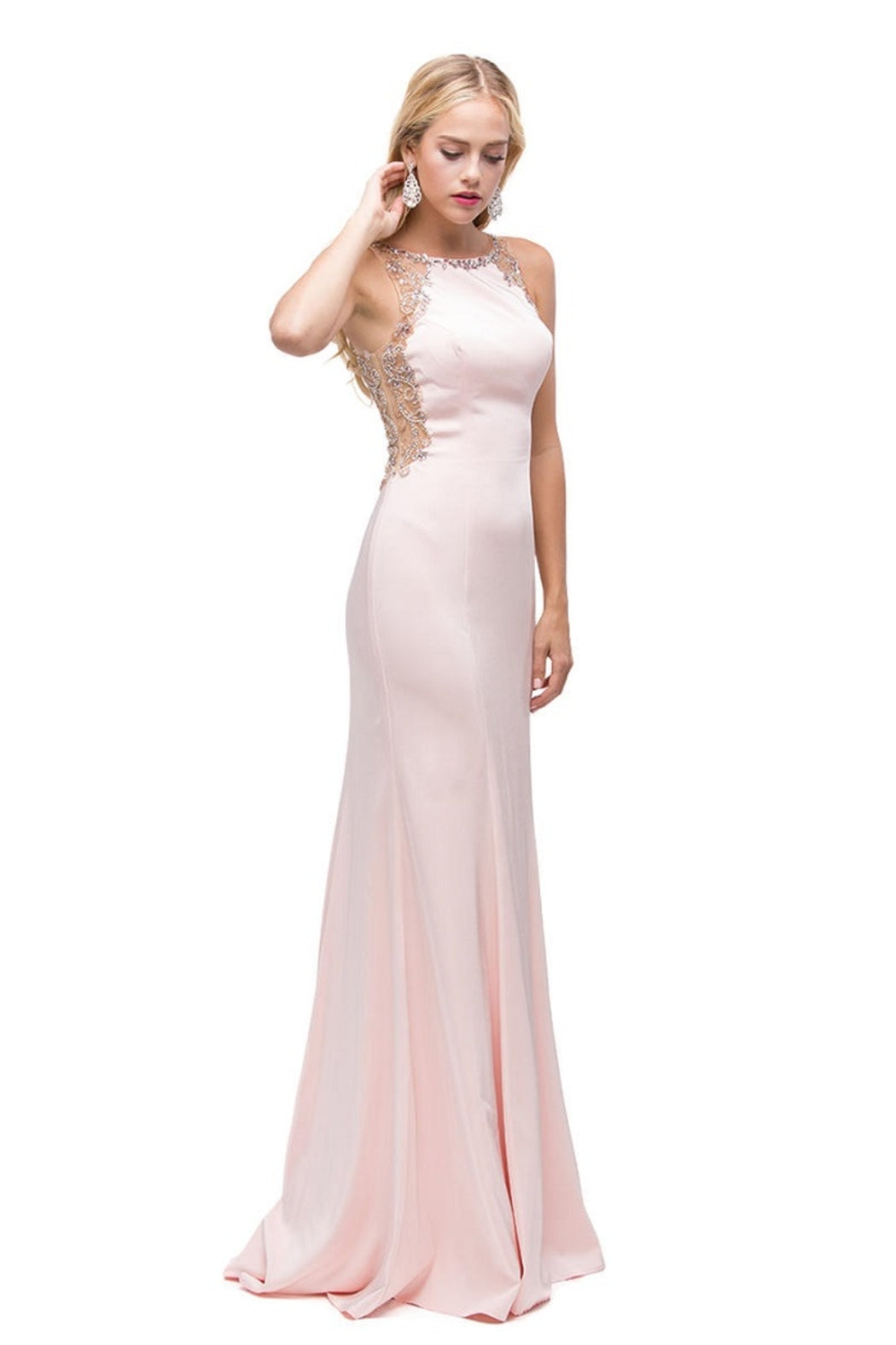 Blush Fit & Flare Floral Embellished Long Formal Dress
