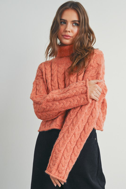 Braided Turtle Neck Sweater