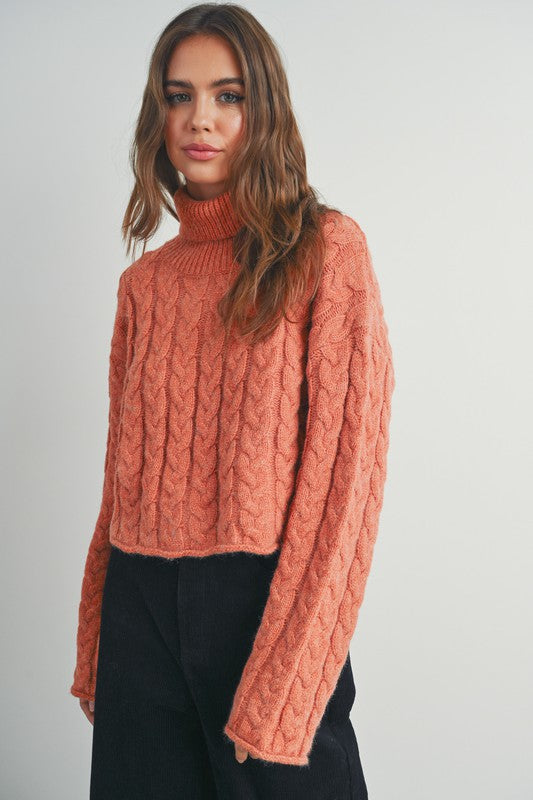Braided Turtle Neck Sweater