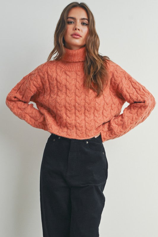 Braided Turtle Neck Sweater