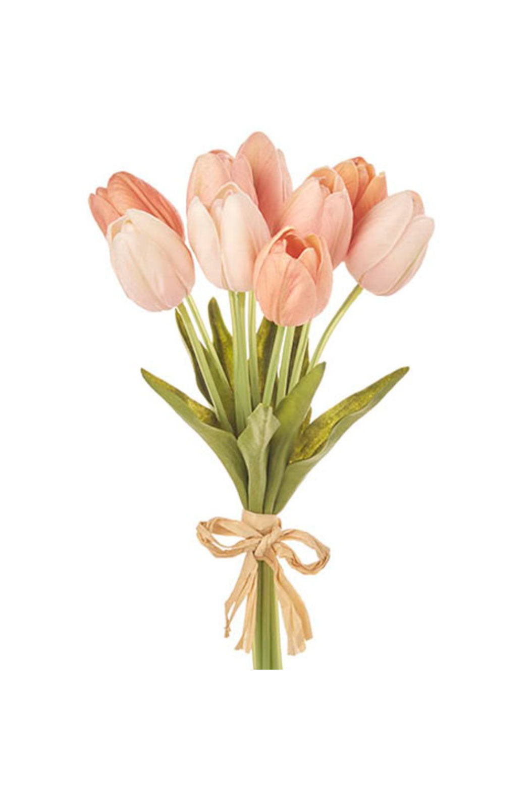 Tulip Bundle
