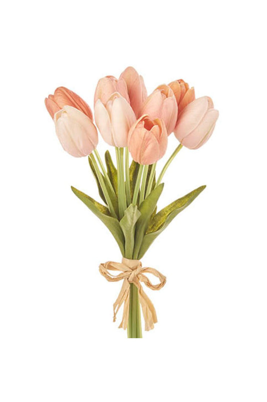 Tulip Bundle