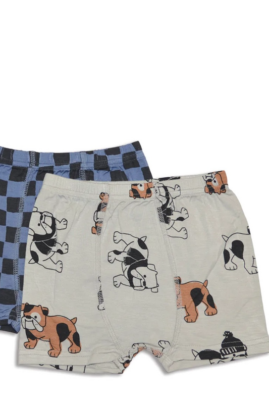 Bamboo Boys Underwear 2Pack
