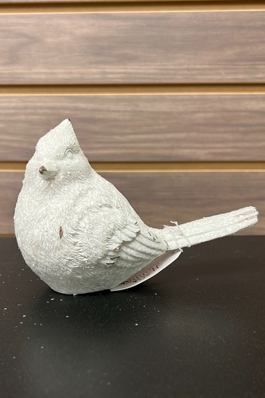 White Cardinal