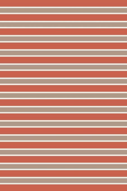 3/4 Slv YD Stripe Top - Rust Only