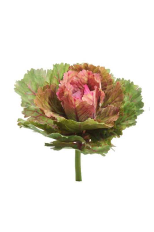 Cabbage Pick