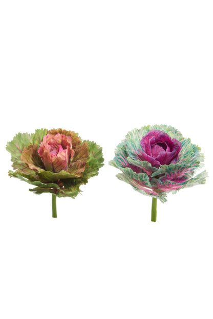 Cabbage Pick