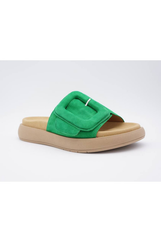 VERDE NEW