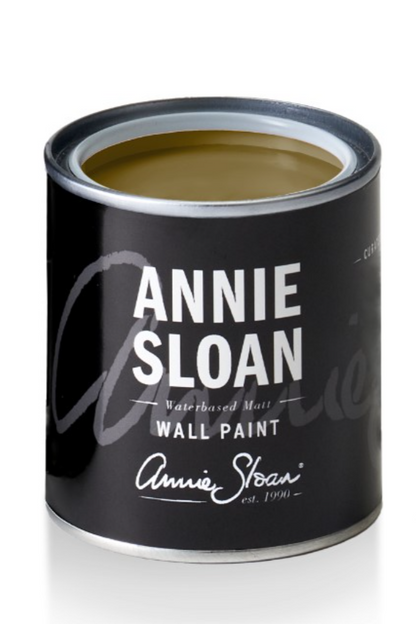 Olive Sample Wall Paint