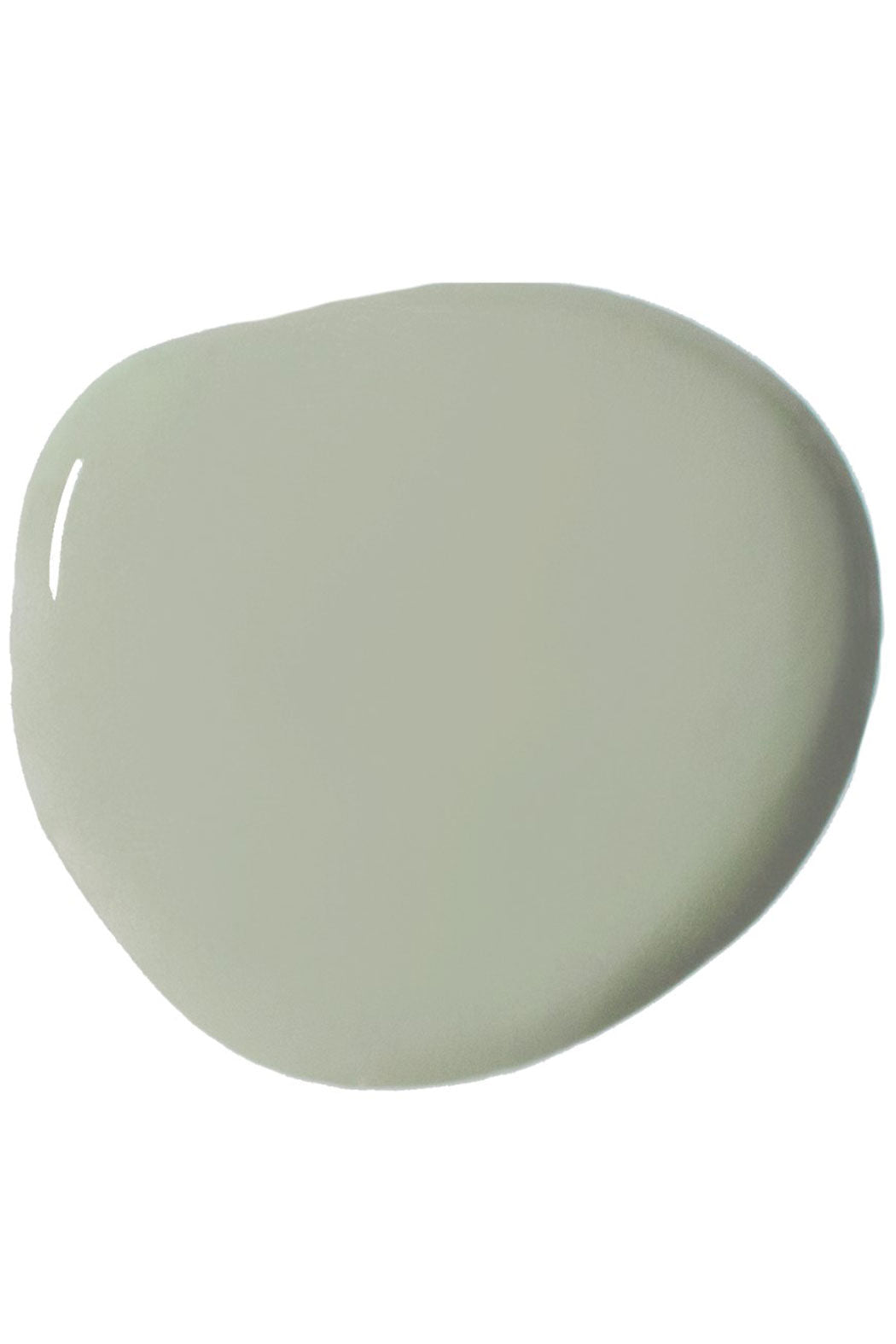 Terre Verte Sample Wall Paint