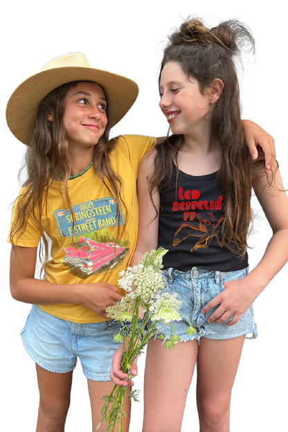 Bruce Springsteen Sunset TShirt
