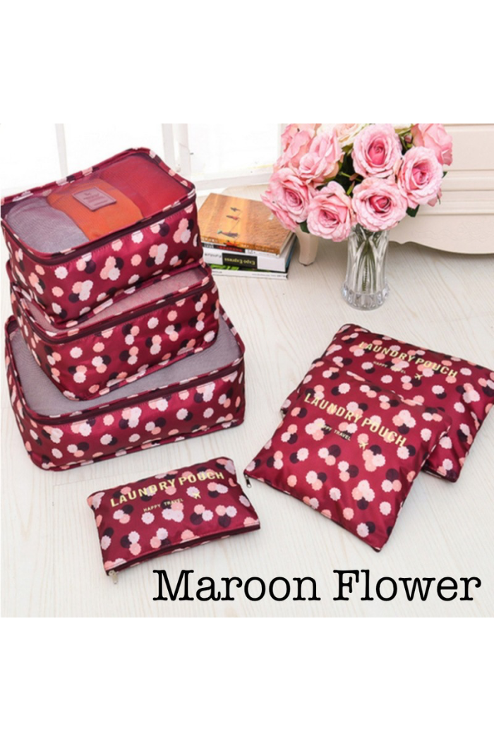 6 Piece Travel Organizer