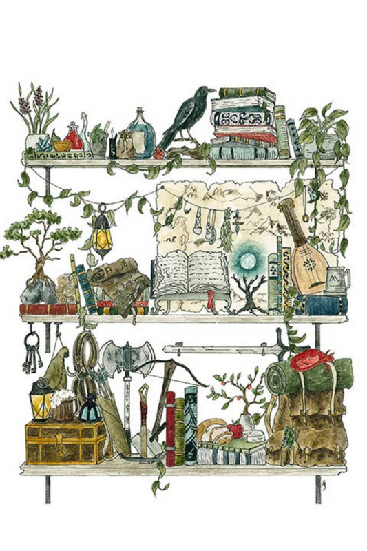 The Adventurer's Shelves Postcard