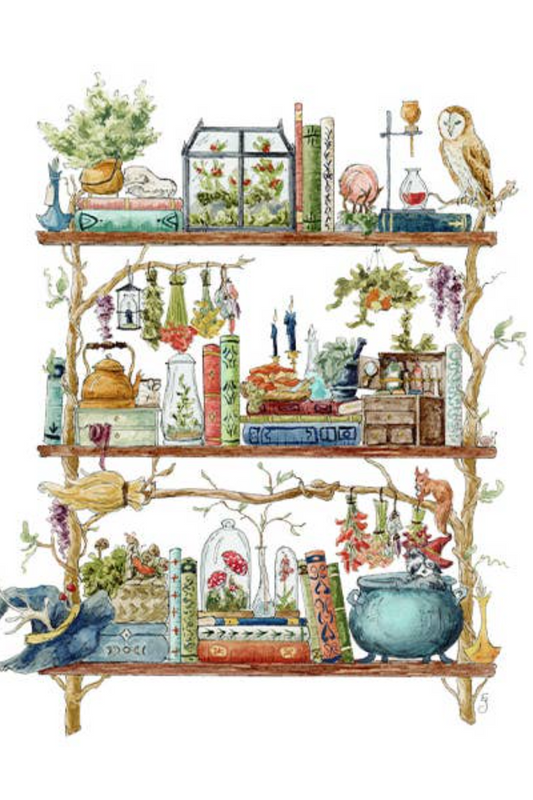 The Forest Witch's Shelves Postcard