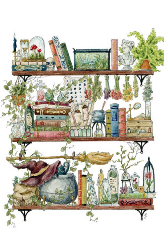 The Witch's Shelves Postcard