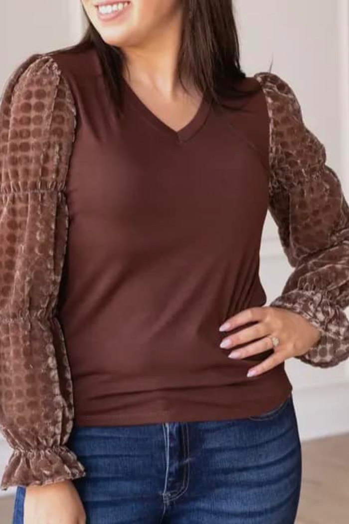 Burnout Velvet Sleeve Top