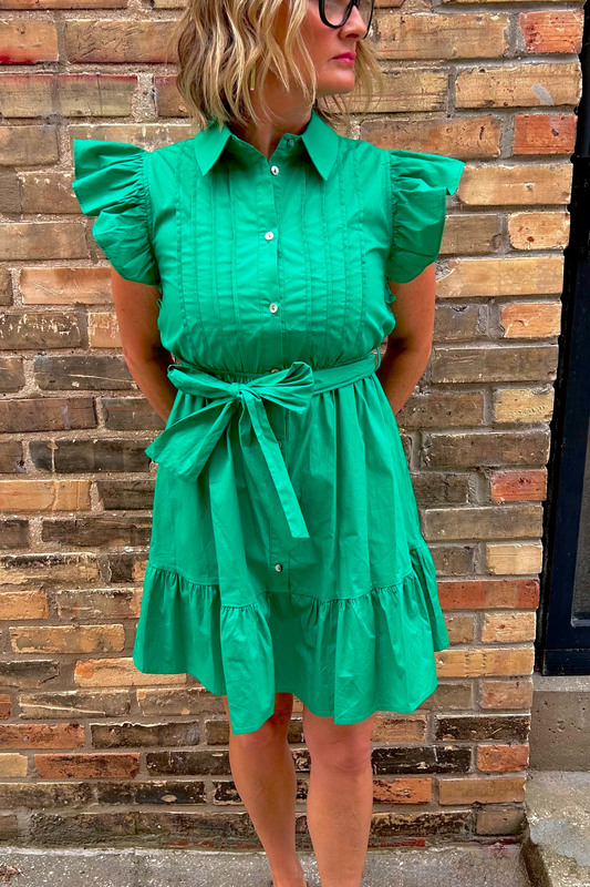 Button Down Belted Mini Dress