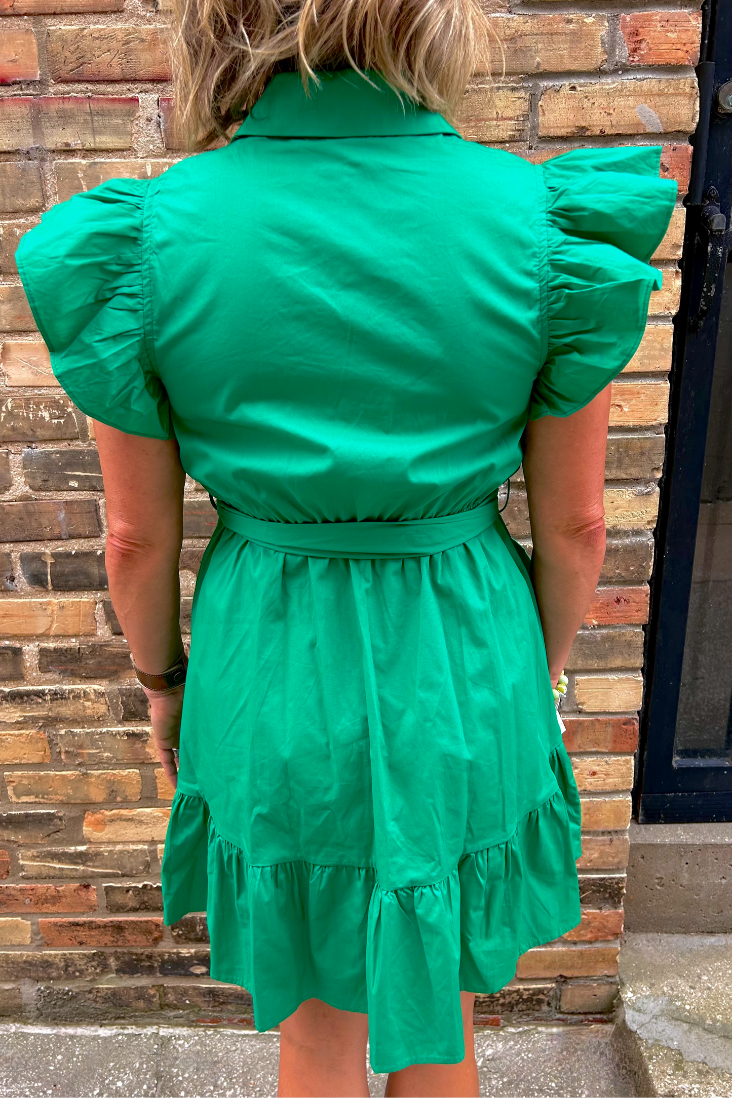 Button Down Belted Mini Dress
