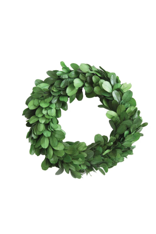 6" Rnd Preserved Boxwood Wreath