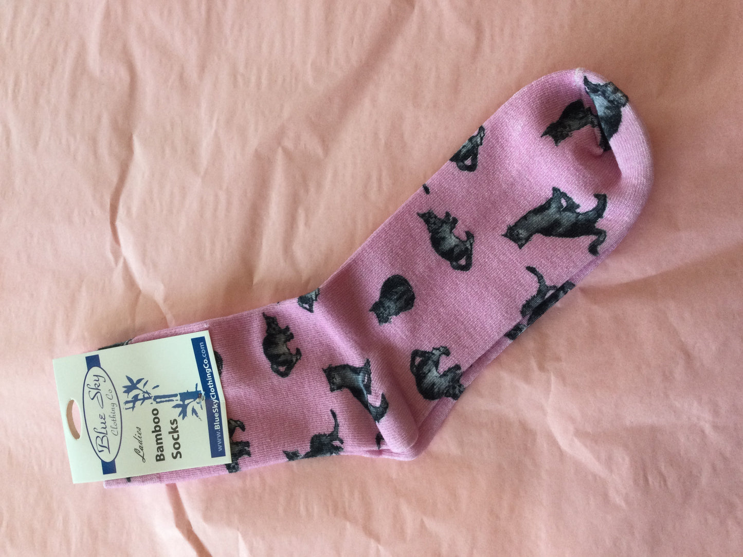 Blue Sky Bamboo socks