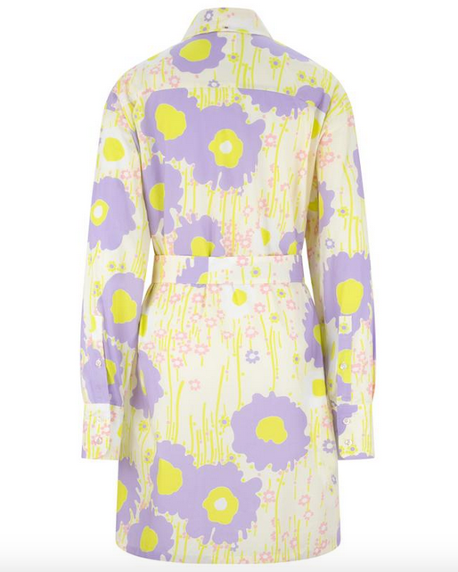 Sportmax Baldi Floral Cotton Poplin Shirt Dress