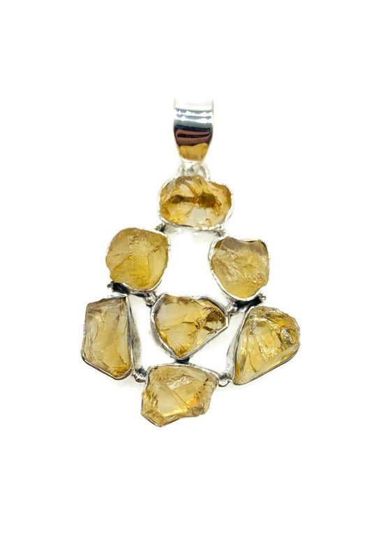 Ananda Naturals P