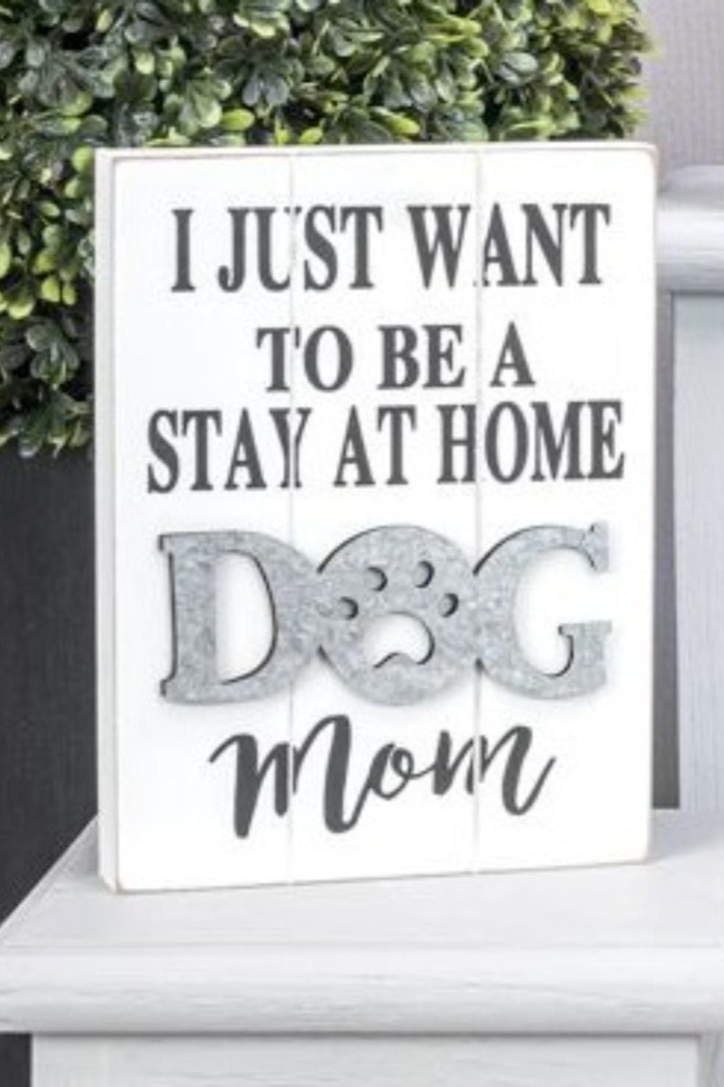 Assorted Dog Lover Signs