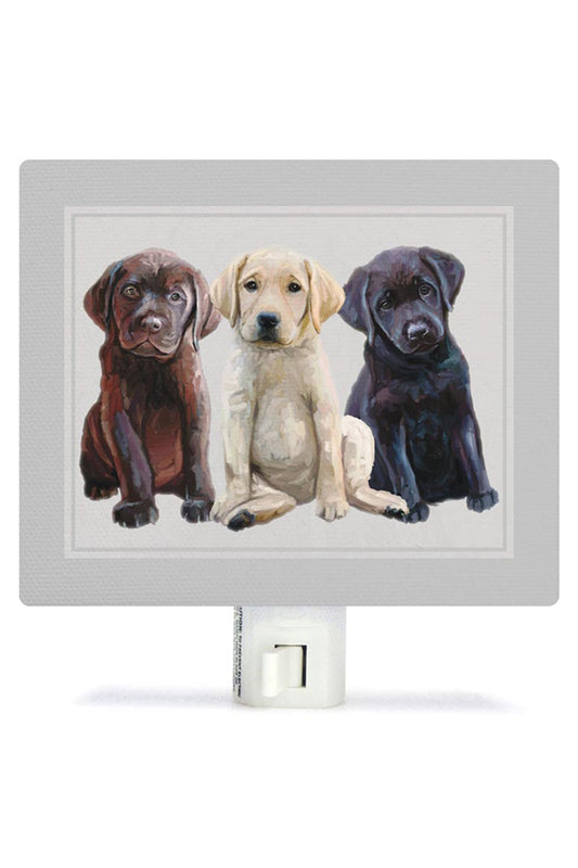 Best Friends Labs Night Light