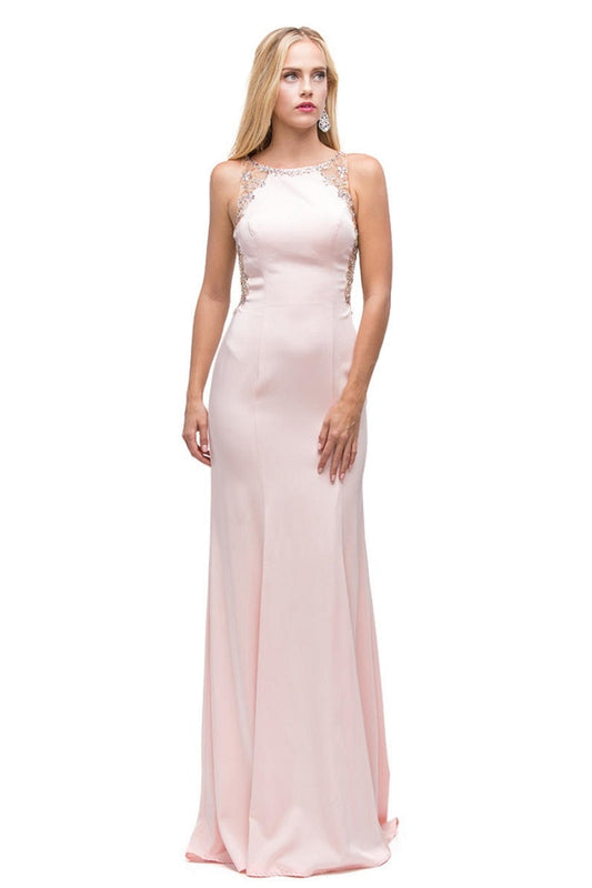Blush Fit & Flare Floral Embellished Long Formal Dress