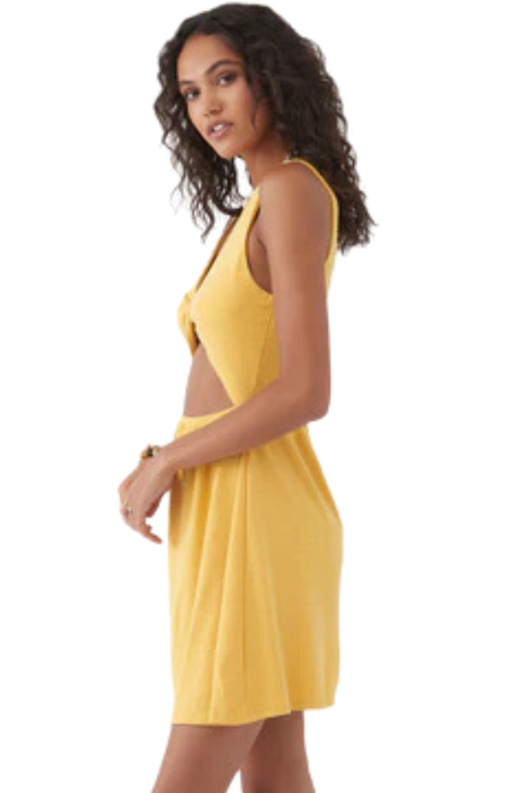 Brye Cutout Dress