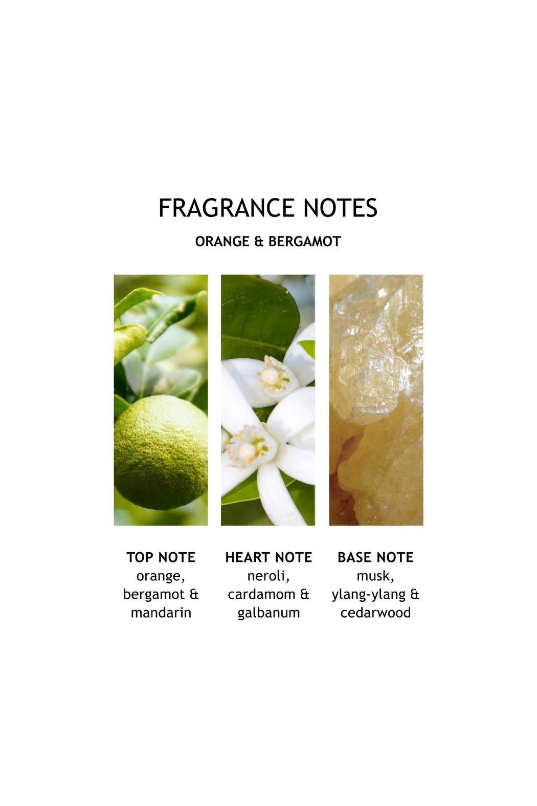 Orange & Bergamot Body Lotion