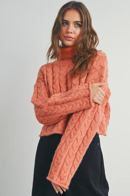 Braided Turtle Neck Sweater