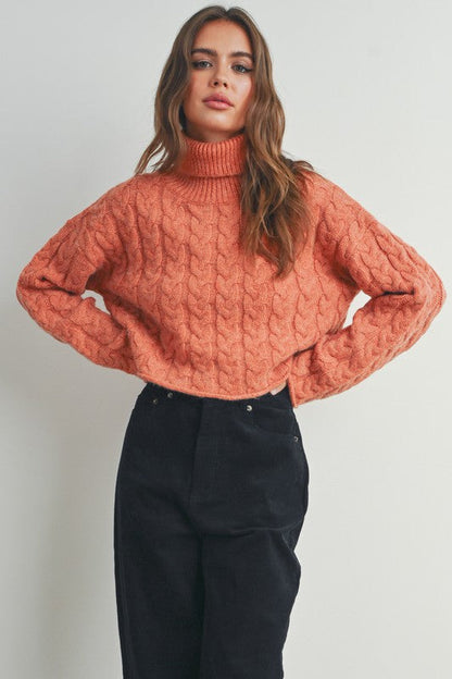 Braided Turtle Neck Sweater