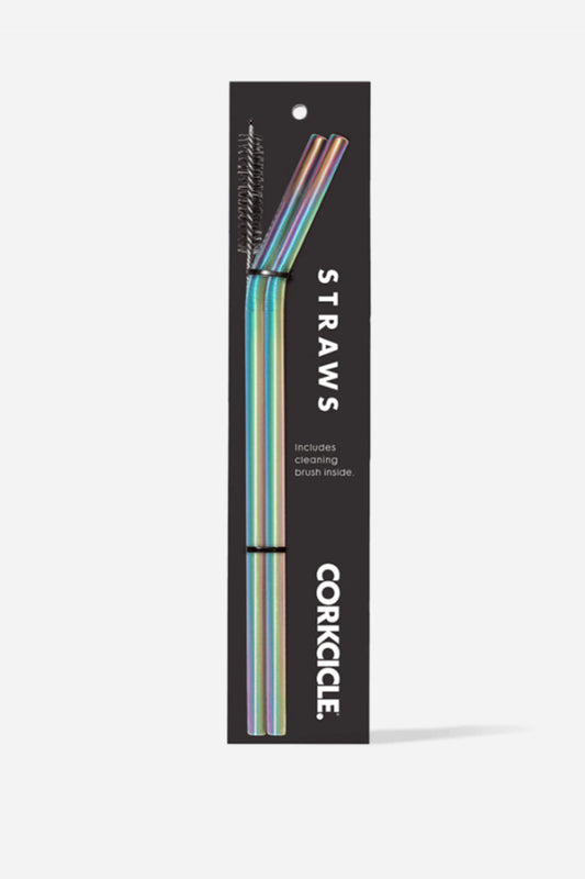 Stainless Steel Straw Set
